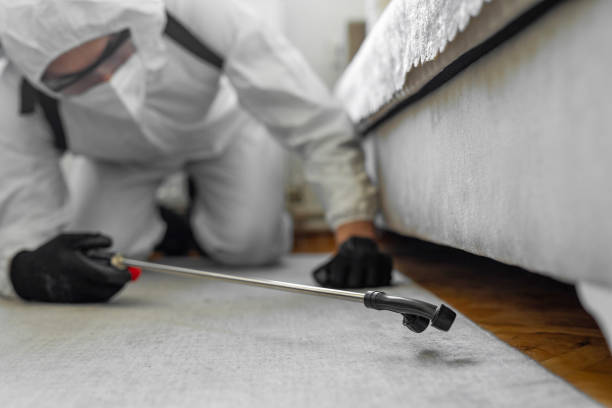 Professional Termite Control technician working in Friendswood, TX