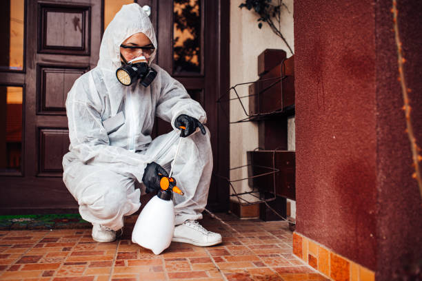 Reliable Termite Control contractor in Friendswood, TX by Nex Pest Control