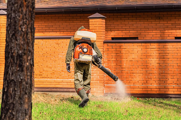 Trusted Ant Control service in Friendswood, TX - Nex Pest Control